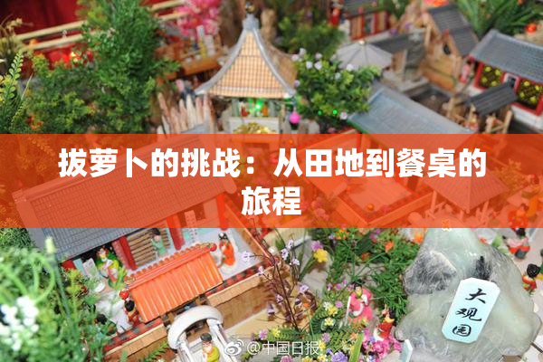 拔萝卜的挑战：从田地到餐桌的旅程