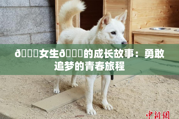 🔞女生🍆的成长故事：勇敢追梦的青春旅程