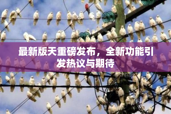 最新版天重磅发布，全新功能引发热议与期待