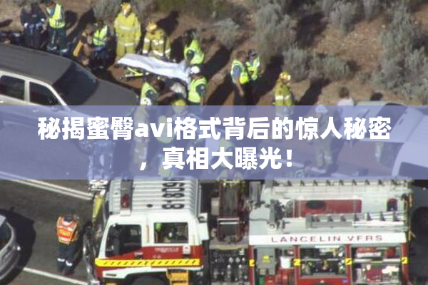 秘揭蜜臀avi格式背后的惊人秘密，真相大曝光！