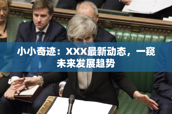小小奇迹：XXX最新动态，一窥未来发展趋势