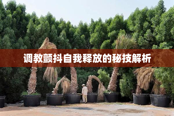 调教颤抖自我释放的秘技解析