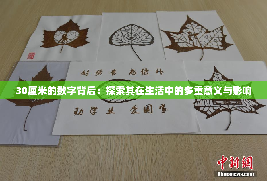 30厘米的数字背后：探索其在生活中的多重意义与影响