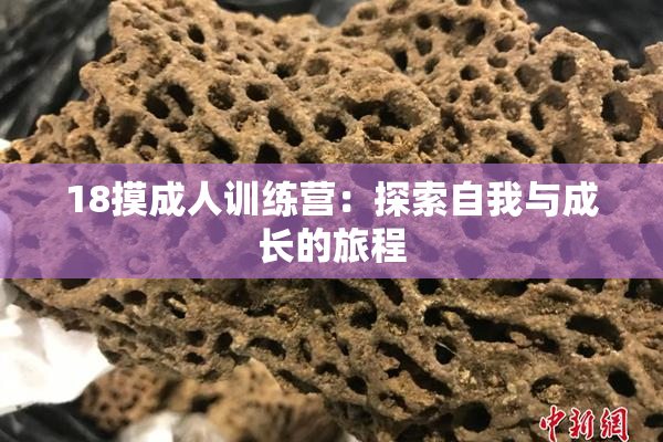 18摸成人训练营：探索自我与成长的旅程