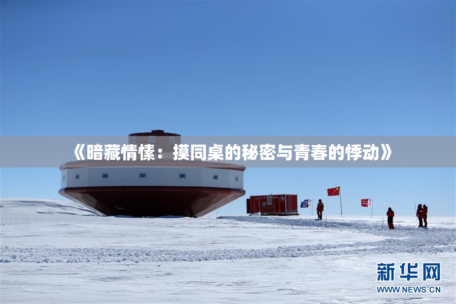 《暗藏情愫：摸同桌的秘密与青春的悸动》