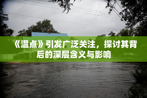 《温点》引发广泛关注，探讨其背后的深层含义与影响