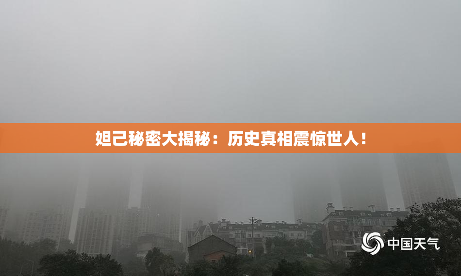 妲己秘密大揭秘：历史真相震惊世人！