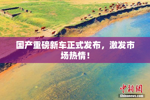 国产重磅新车正式发布，激发市场热情！