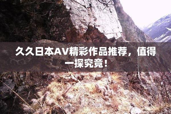 久久日本AV精彩作品推荐，值得一探究竟！