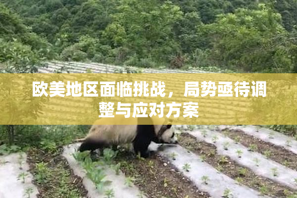 欧美地区面临挑战，局势亟待调整与应对方案