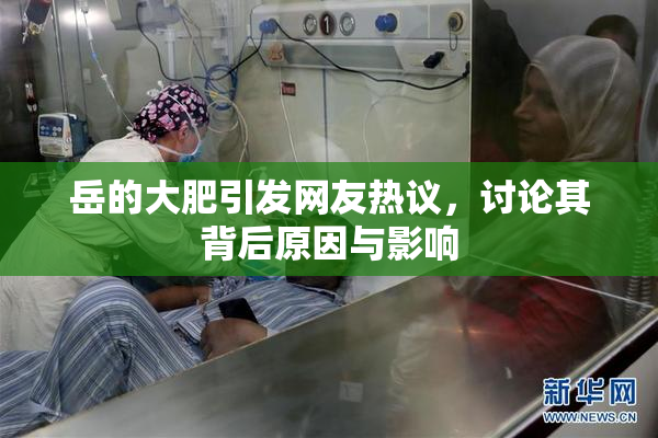 岳的大肥引发网友热议，讨论其背后原因与影响