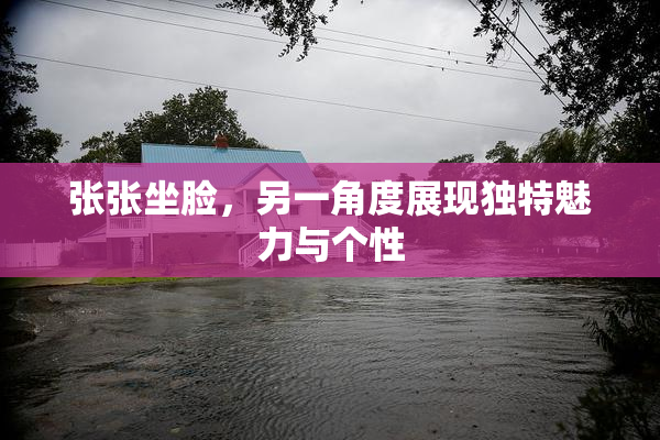 张张坐脸，另一角度展现独特魅力与个性