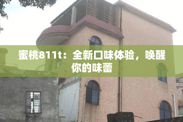 蜜桃811t：全新口味体验，唤醒你的味蕾