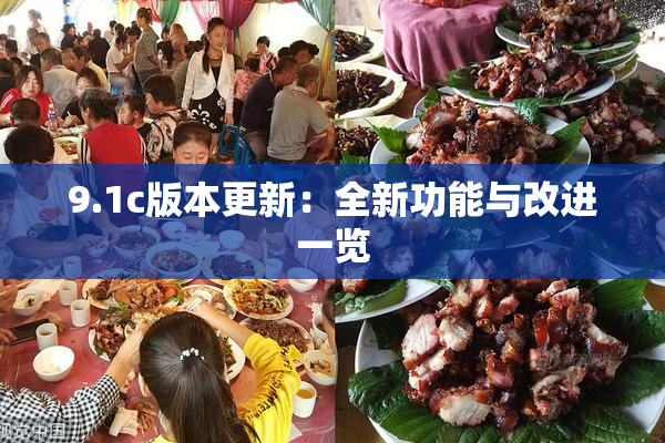 9.1c版本更新：全新功能与改进一览