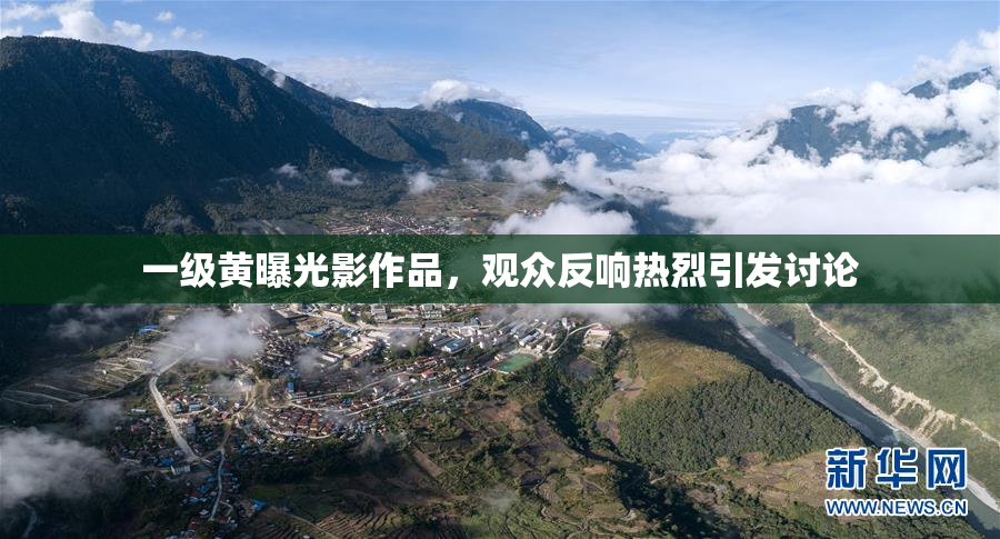 一级黄曝光影作品，观众反响热烈引发讨论