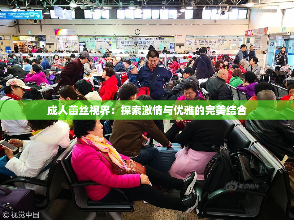 成人蕾丝视界：探索激情与优雅的完美结合