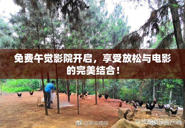 免费午觉影院开启，享受放松与电影的完美结合！