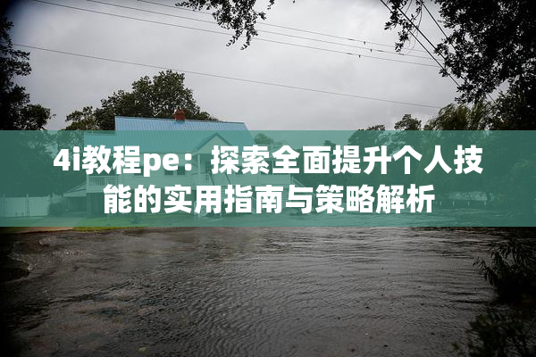4i教程pe：探索全面提升个人技能的实用指南与策略解析