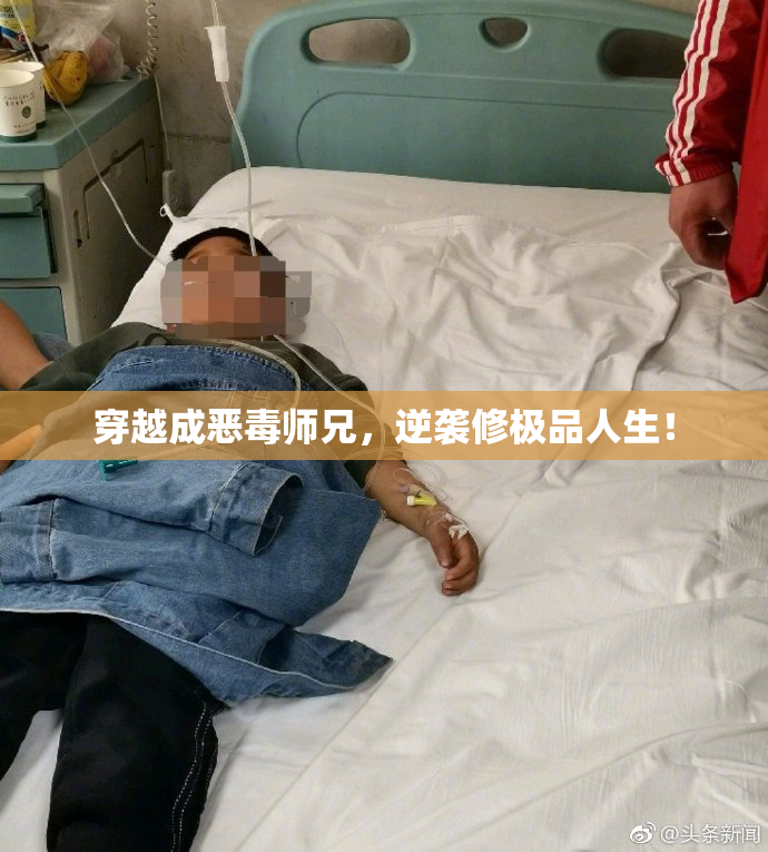 穿越成恶毒师兄，逆袭修极品人生！