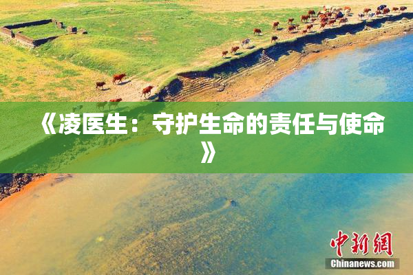 《凌医生：守护生命的责任与使命》