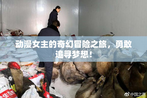 动漫女主的奇幻冒险之旅，勇敢追寻梦想！