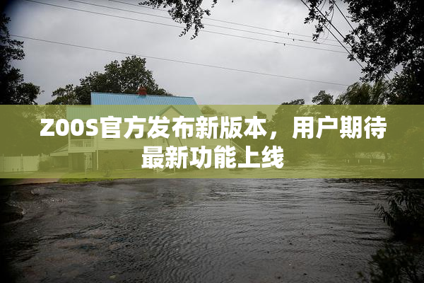 Z00S官方发布新版本，用户期待最新功能上线