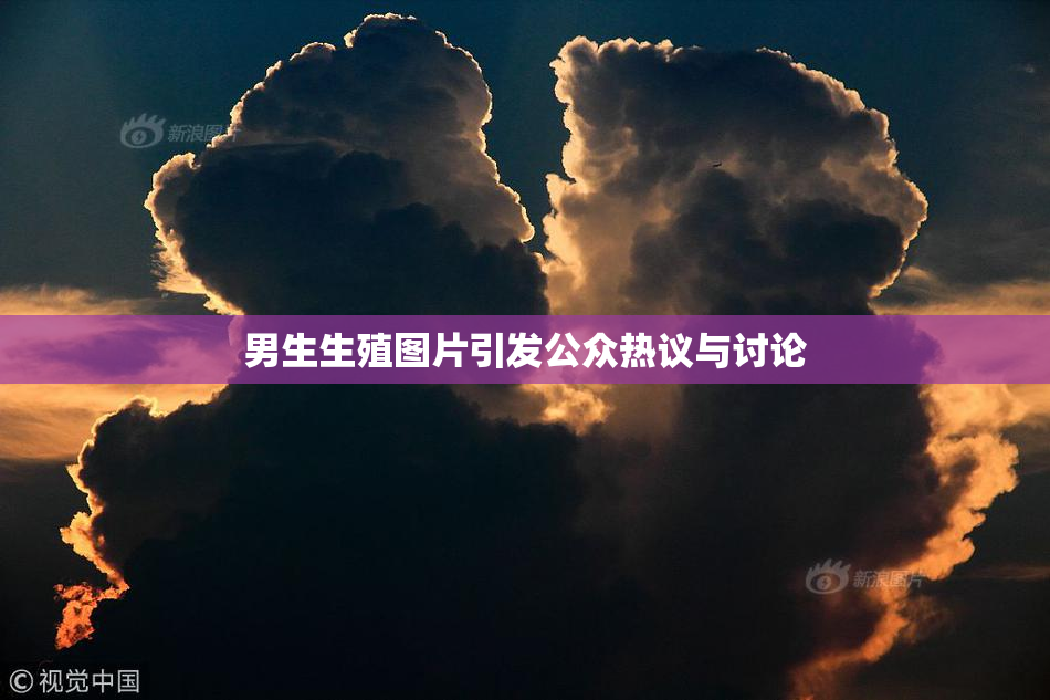 男生生殖图片引发公众热议与讨论