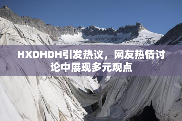 HXDHDH引发热议，网友热情讨论中展现多元观点