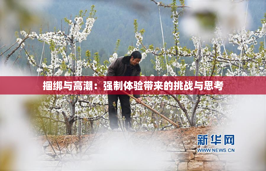 捆绑与高潮：强制体验带来的挑战与思考