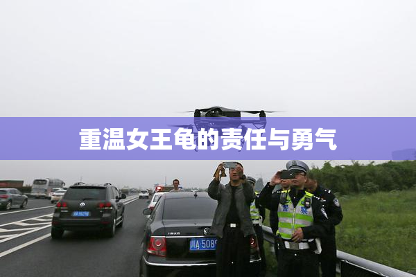 重温女王龟的责任与勇气
