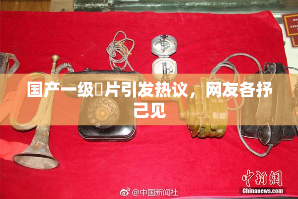 国产一级婬片引发热议，网友各抒己见