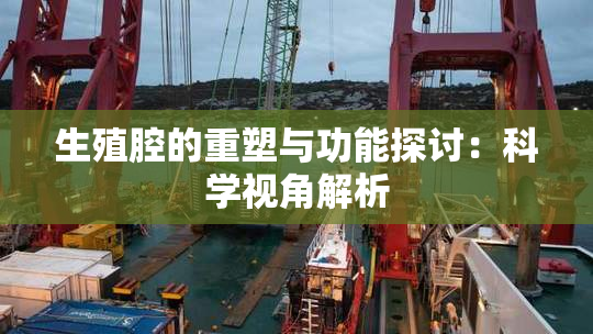 生殖腔的重塑与功能探讨：科学视角解析