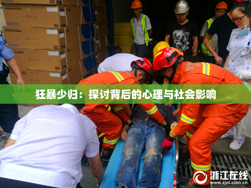 狂暴少归：探讨背后的心理与社会影响