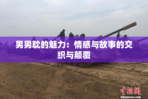 男男耽的魅力：情感与故事的交织与颠覆