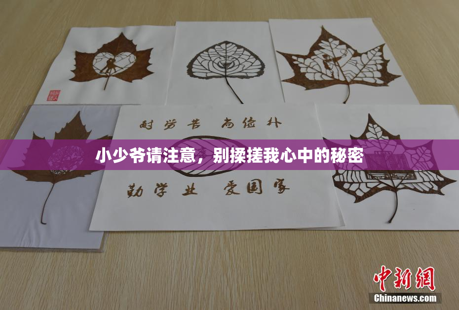 小少爷请注意，别揉搓我心中的秘密