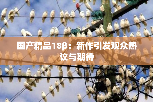 国产精品18β：新作引发观众热议与期待