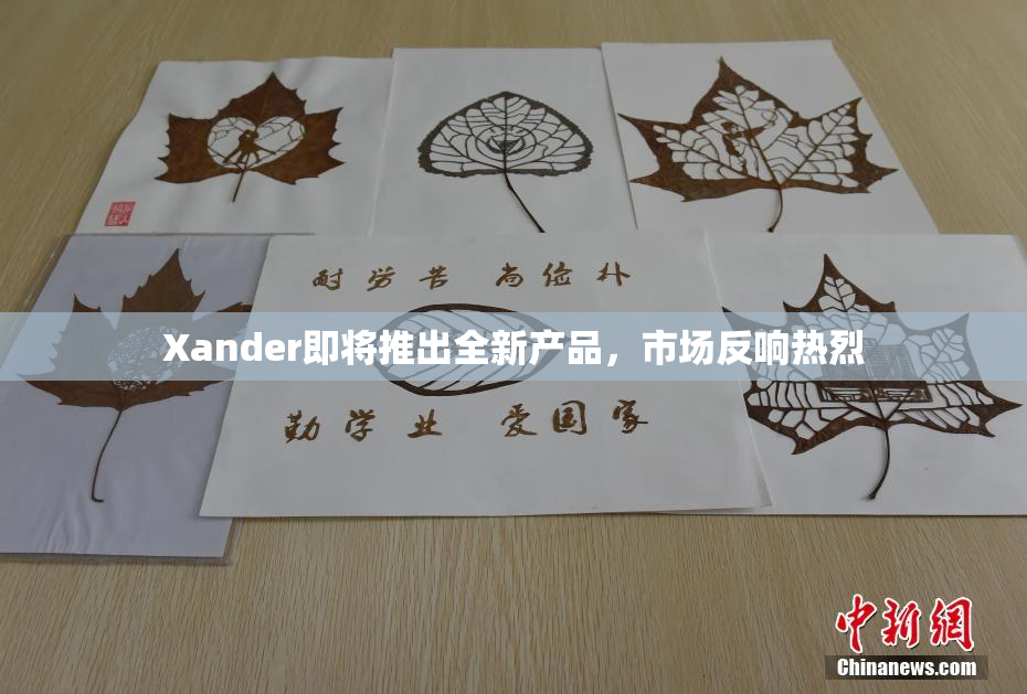 Xander即将推出全新产品，市场反响热烈