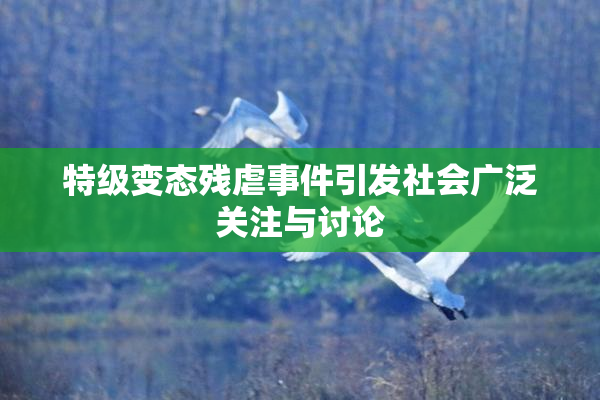 特级变态残虐事件引发社会广泛关注与讨论