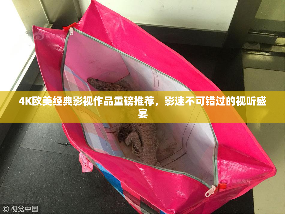 4K欧美经典影视作品重磅推荐，影迷不可错过的视听盛宴