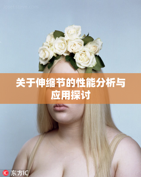 关于伸缩节的性能分析与应用探讨