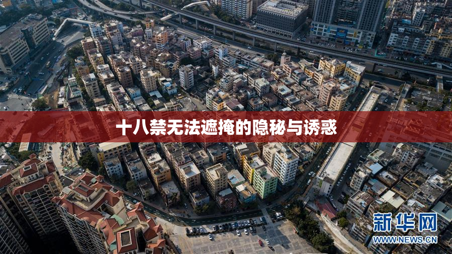 十八禁无法遮掩的隐秘与诱惑