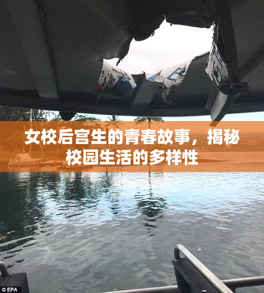 女校后宫生的青春故事，揭秘校园生活的多样性