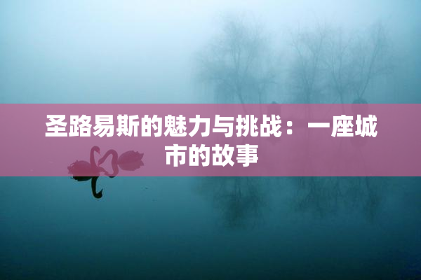 圣路易斯的魅力与挑战：一座城市的故事