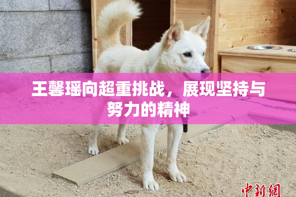 王馨瑶向超重挑战，展现坚持与努力的精神