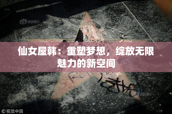 仙女屋韩：重塑梦想，绽放无限魅力的新空间