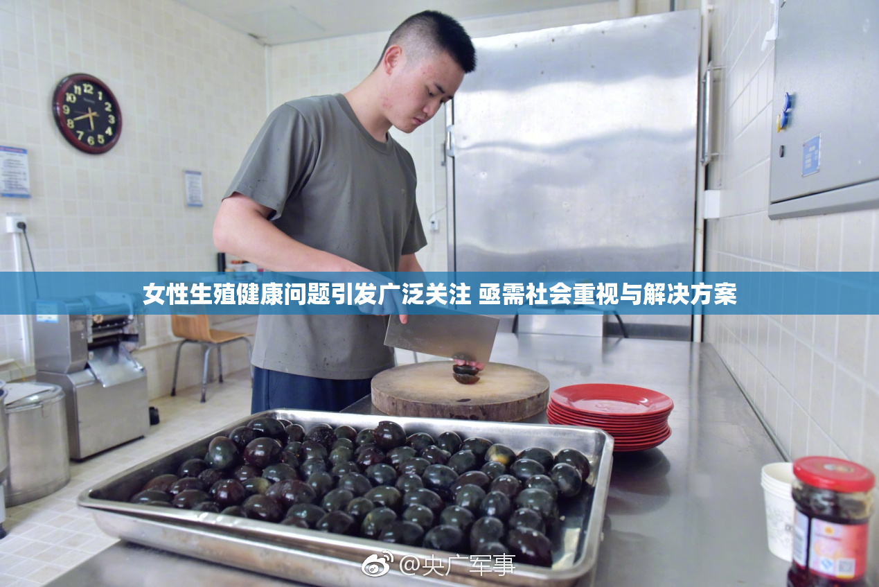 女性生殖健康问题引发广泛关注 亟需社会重视与解决方案