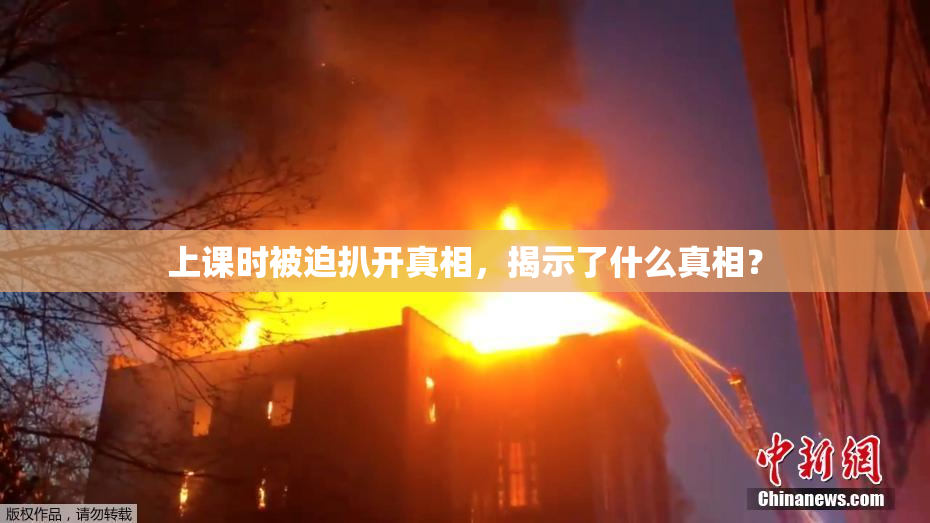 上课时被迫扒开真相，揭示了什么真相？