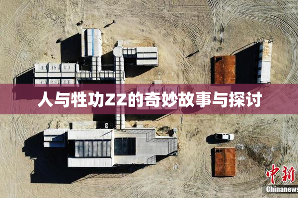 人与牲功ZZ的奇妙故事与探讨