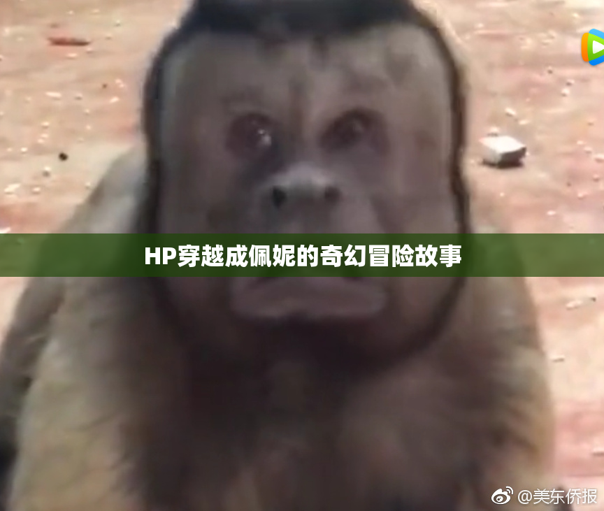 HP穿越成佩妮的奇幻冒险故事