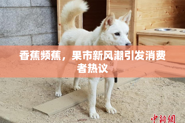 香蕉频蕉，果市新风潮引发消费者热议